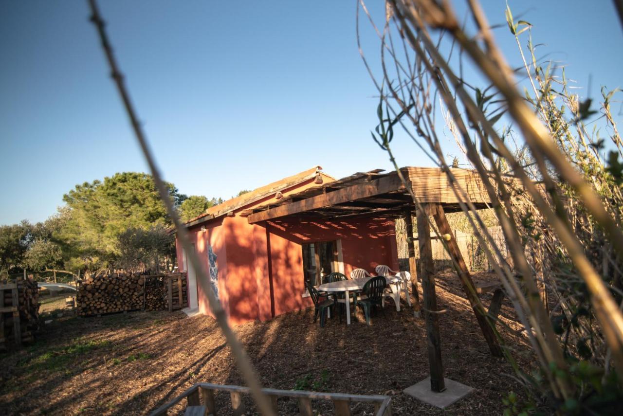 Ferienhaus De L'oasis* De La Pastissiere, Un Eco Lieu En Permaculture *