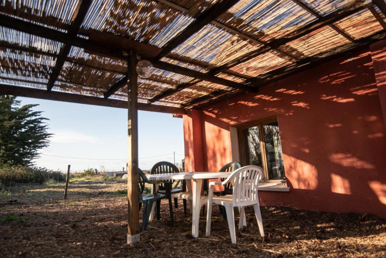 De L'oasis* De La Pastissiere, Un Eco Lieu En Permaculture