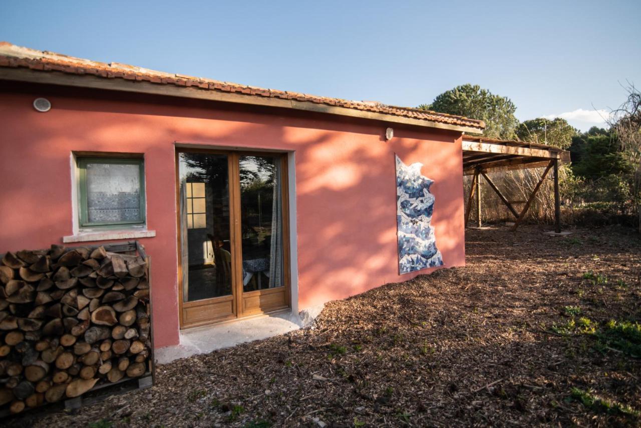 De L'oasis* De La Pastissiere, Un Eco Lieu En Permaculture Ferienhaus Mèze