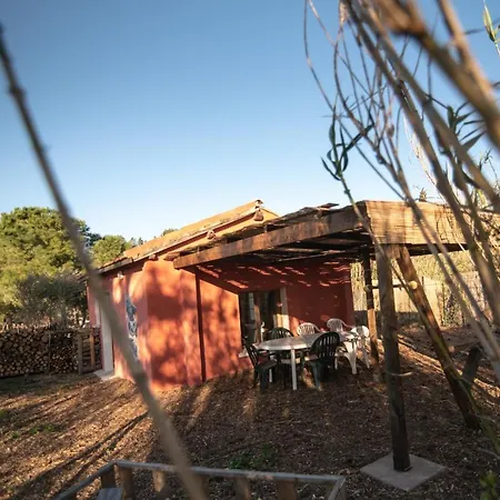 Le mas de l'Oasis* de la Pastissière, un éco lieu en permaculture Mèze Esterno foto