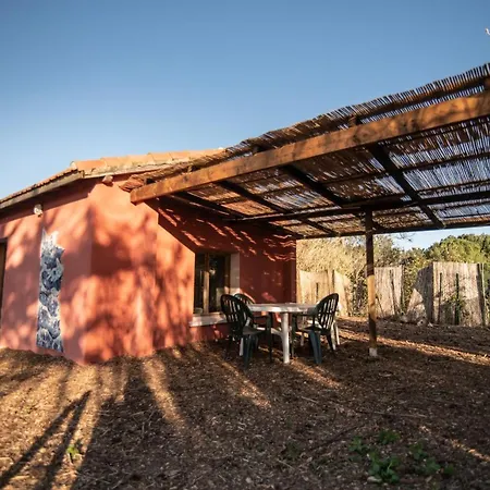 Le mas de l'Oasis* de la Pastissière, un éco lieu en permaculture Mèze Esterno foto