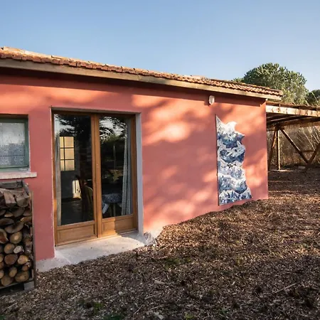 Le mas de l'Oasis* de la Pastissière, un éco lieu en permaculture Mèze Esterno foto