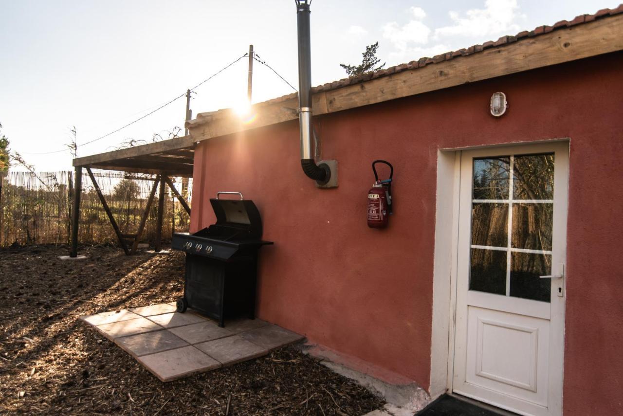 De L'oasis* De La Pastissiere, Un Eco Lieu En Permaculture Meze