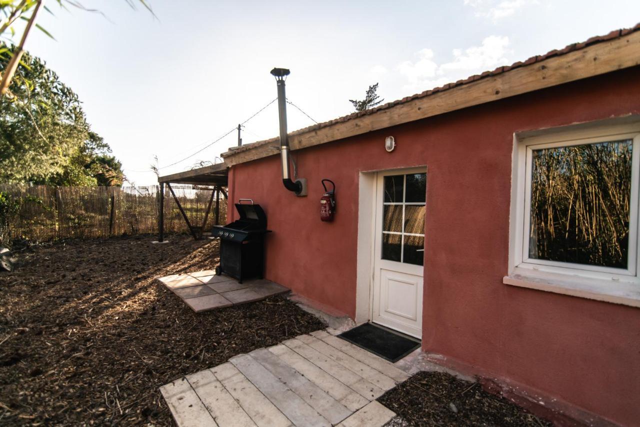 De L'oasis* De La Pastissiere, Un Eco Lieu En Permaculture Meze